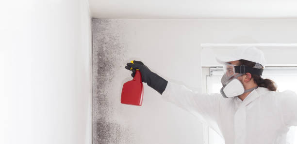 Best Crawl Space Mold Removal  in Marion, PA