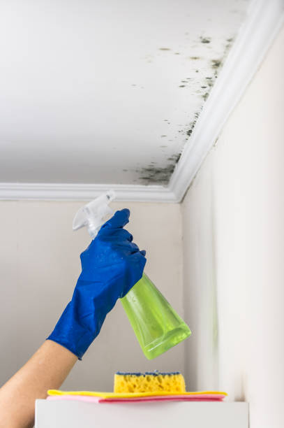 Best Water Damage Restoration  in Marion, PA